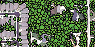 2d canopy cropped