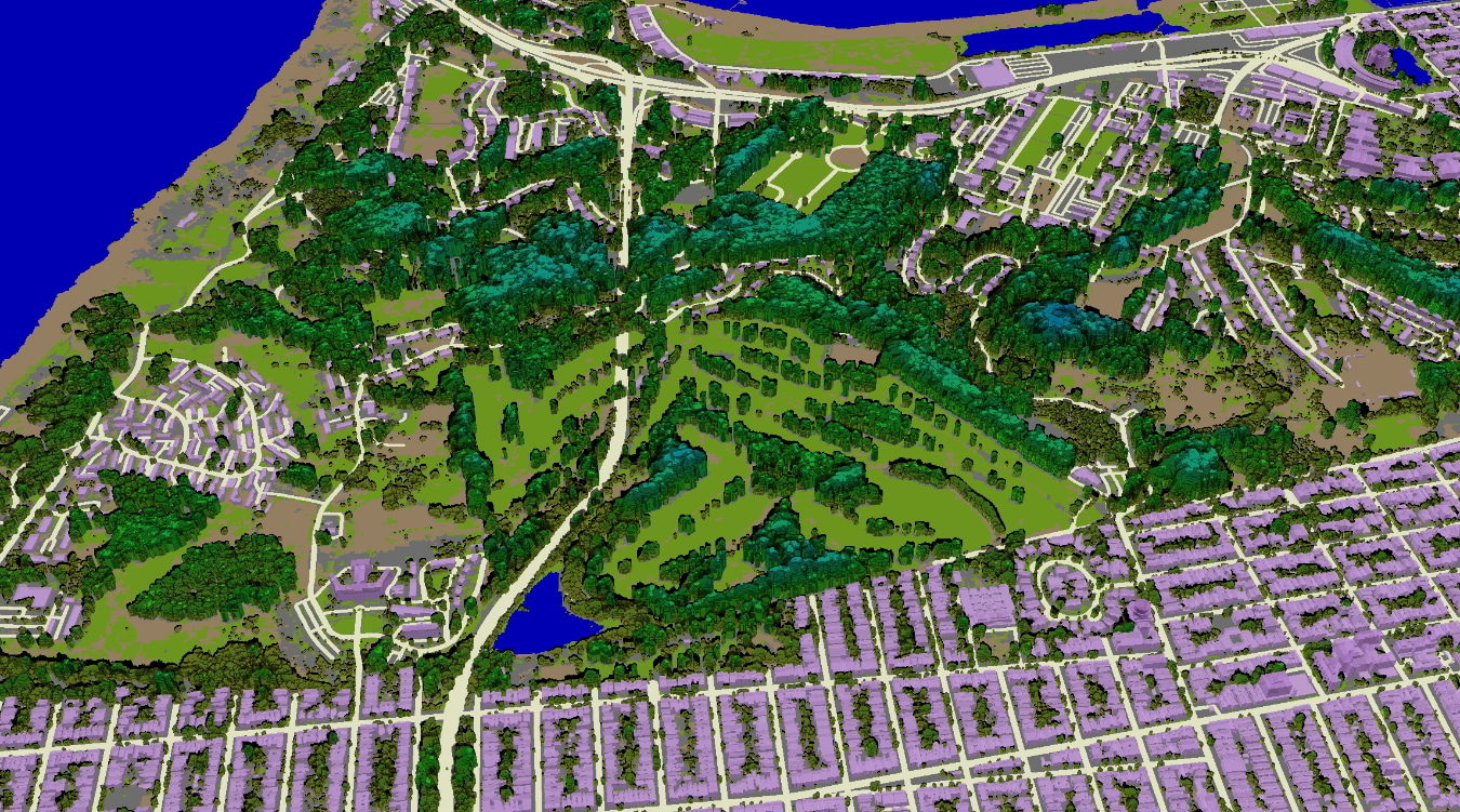 Trees – San Francisco CA – Use San Francisco CA 1m 3D 3.jpg – ID 7