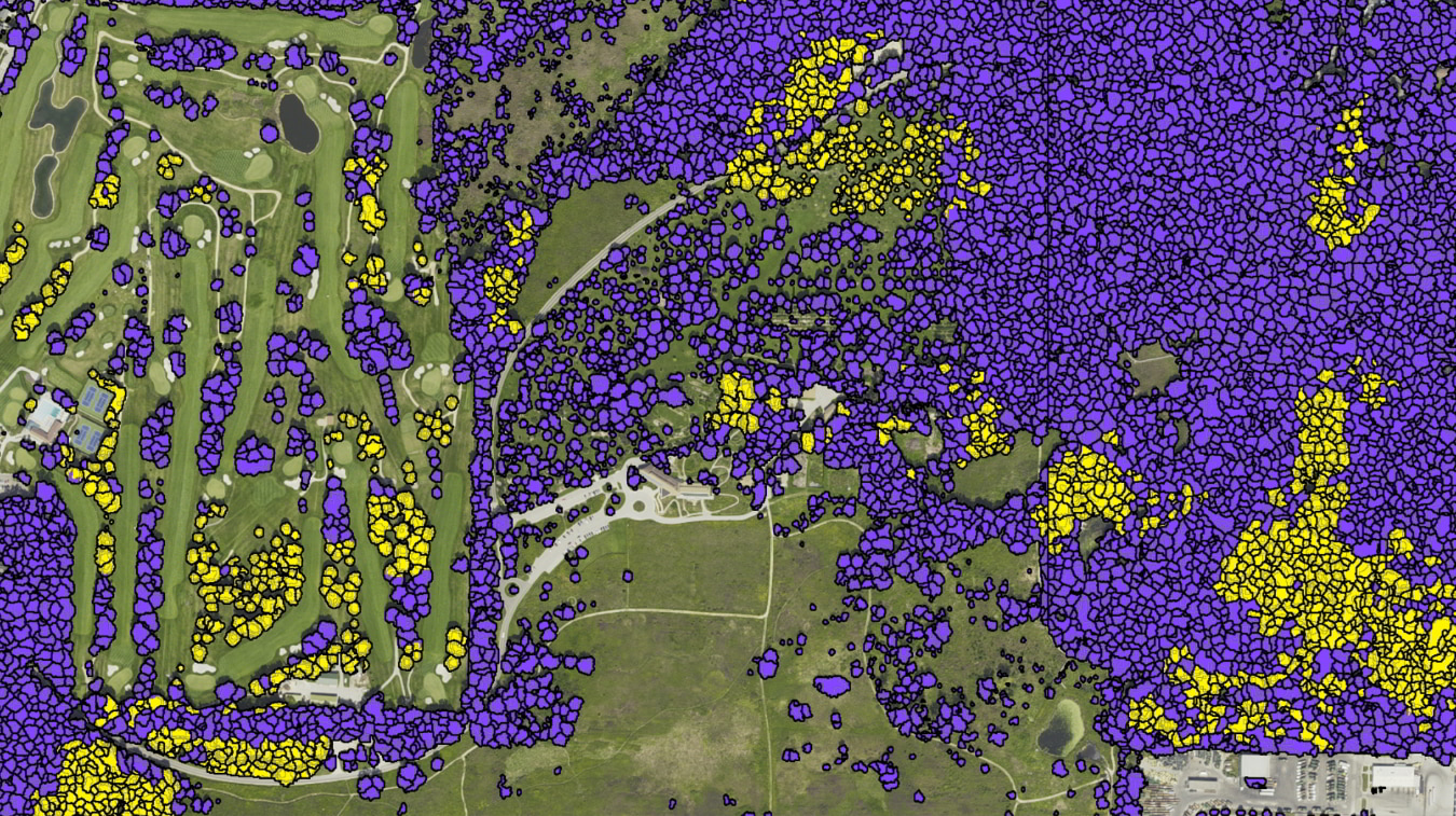 landinfo.com anaheim tree mapping coniferous vs deciduous attribution option p7