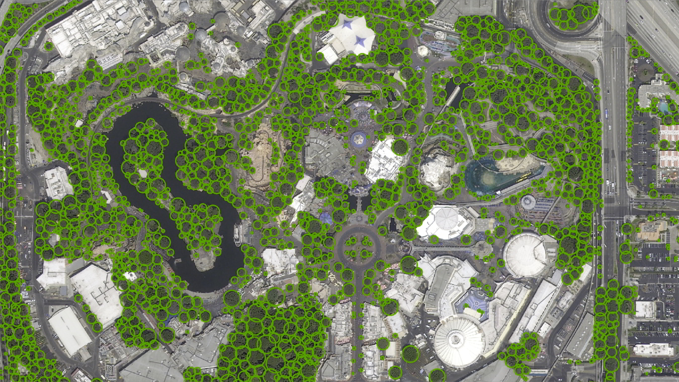 landinfo.com anaheim tree mapping simplified trees p6