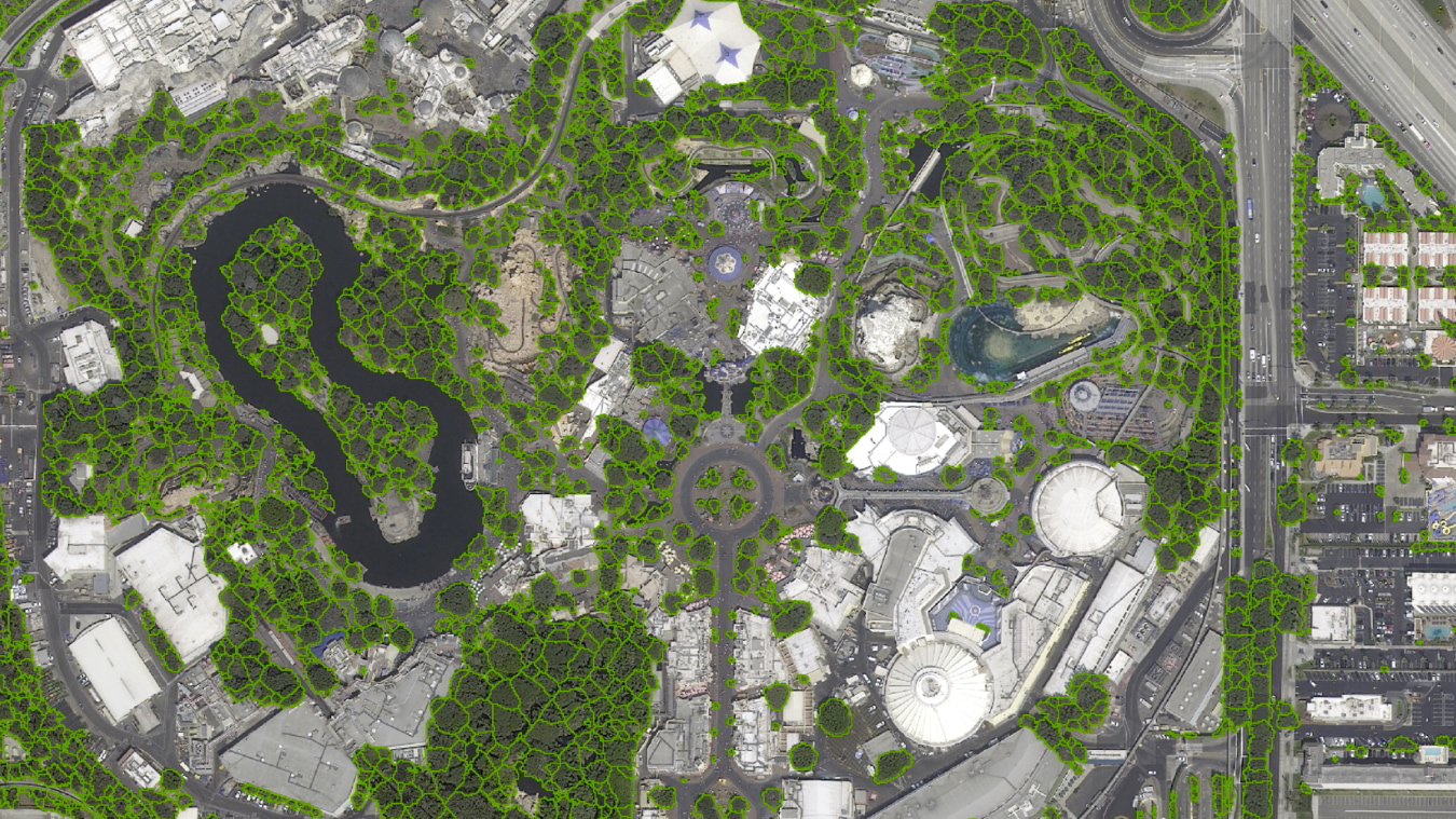 landinfo.com anaheim tree mapping single tree classification p2