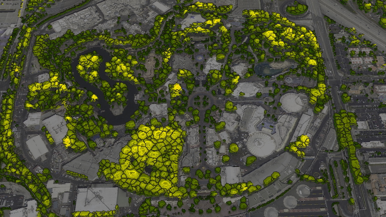 landinfo.com anaheim tree mapping tree data p1