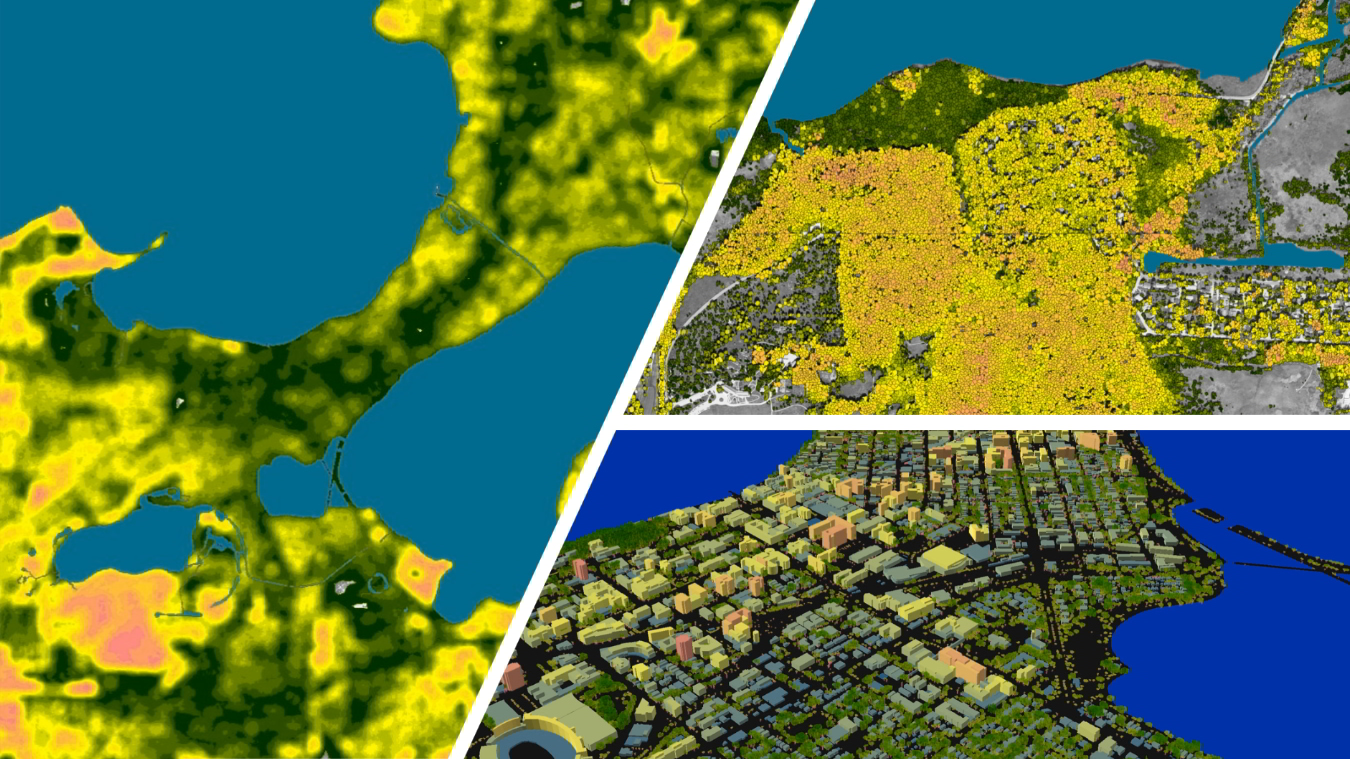 landinfo.com anaheim tree mapping tree density p10