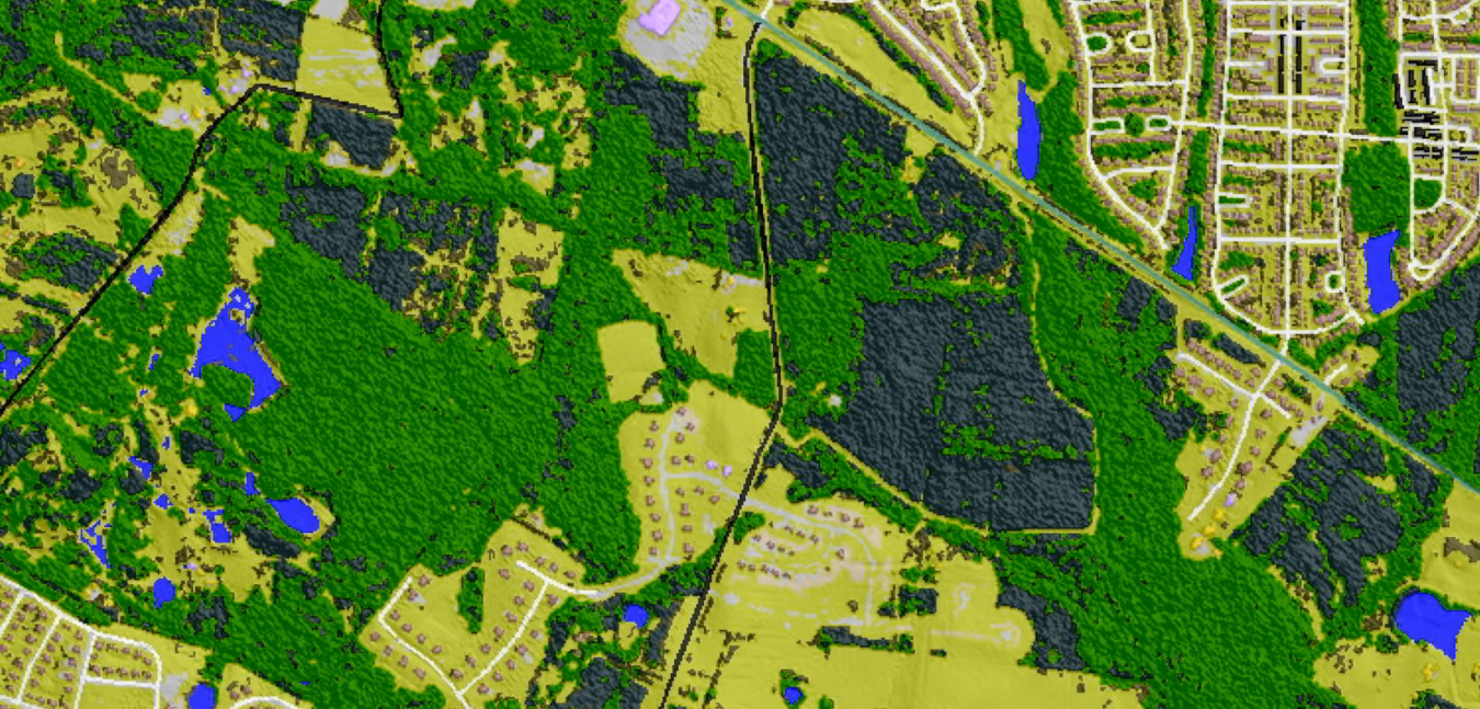 landinfo.com trees coniferous vs. deciduous tree classification virginia usa p9