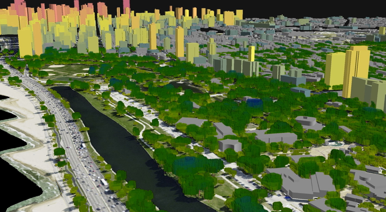 landinfo.com trees single tree identification contouring estimated trunk location and understory modeling chicago p3
