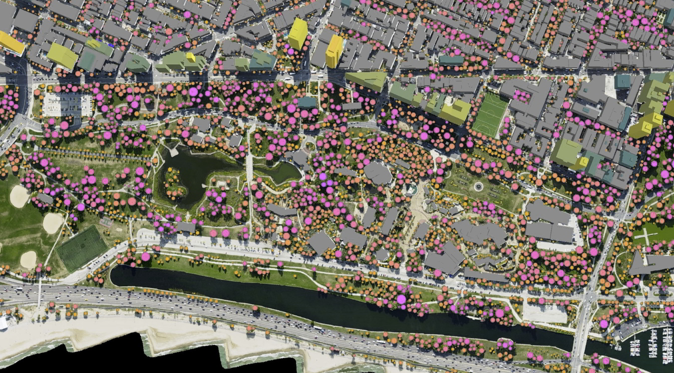 landinfo.com trees single tree mapping with cartographic simplification chicago p4